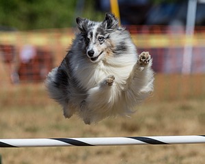 20160619-CCKC-0460.jpg