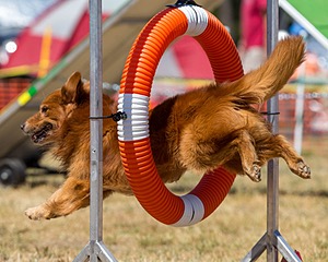 20160619-CCKC-1378.jpg