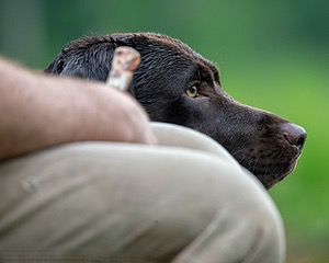 Tucker