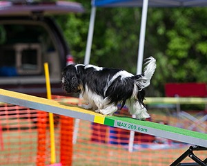 20150612-CCKC-0186.jpg