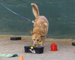 20260718-NSKC-0678.jpg