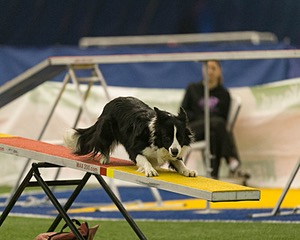 20150321-LEAP-1480.jpg