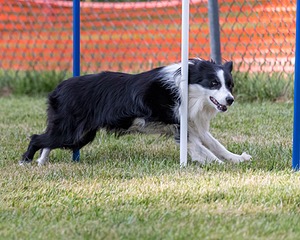 20200819-2881.jpg