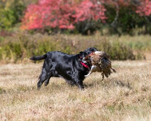 20151010-WCL-0037.jpg