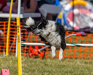 20180617-1665.jpg