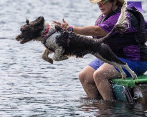 Tillie Lattrell