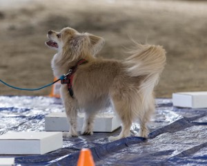 20260718-NSKC-0233.jpg