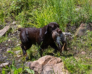 20160717-WCW-0017.jpg