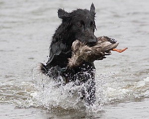 20080531-HRW-0910.jpg