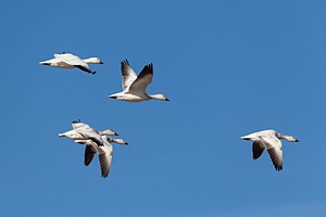 20151206-3229.jpg