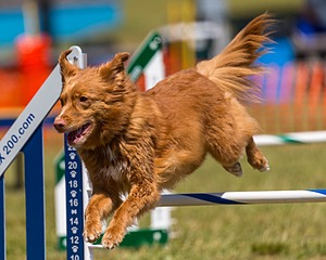 20180617-1434.jpg