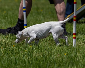 20170520-NEAT-1484.jpg