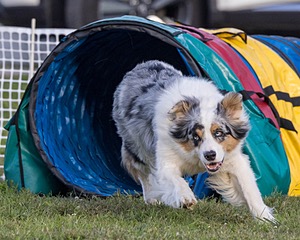 20230916-PVKC-1721.jpg