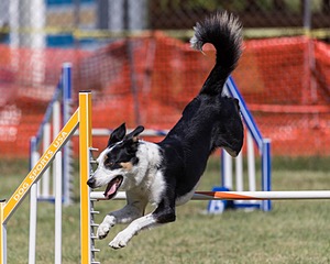 20200819-2295.jpg