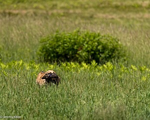 20220613-WCXW-0036.jpg