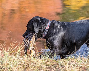 20201011-OOC-0013.jpg