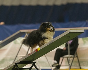 20150321-LEAP-1277.jpg