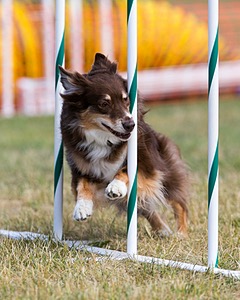 20150614-CCKC-0074.jpg