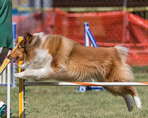 20200819-2305.jpg