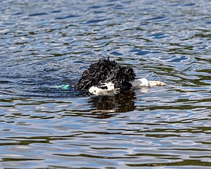 20170820-CWD-0067.jpg