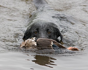 20080531-HRW-0875.jpg