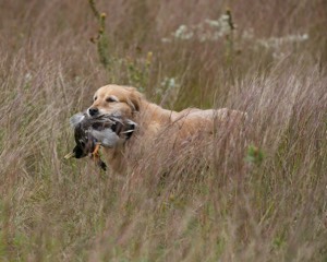 20130921-WCL-0009.jpg