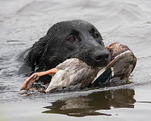 20080531-HRW-1067.jpg