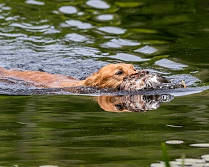 20170604-SEAW-0005.jpg