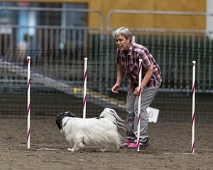 Luca Tettke