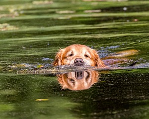 20160604-SEAW-1012.jpg