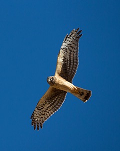 20151206-2428.jpg