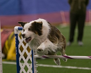 20150321-LEAP-0305.jpg