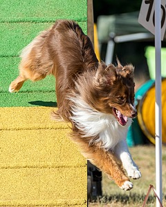 20160618-CCKC-2459.jpg