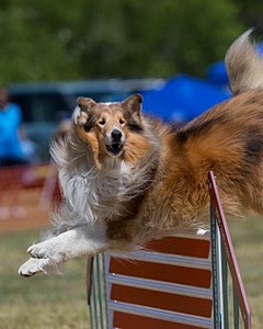 20150613-CCKC-0316.jpg