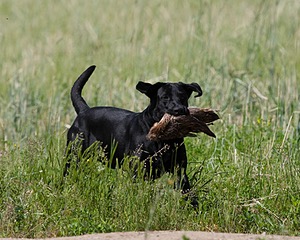 20130602-SEAL-0202.jpg