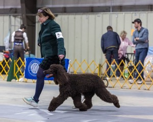 20260228-0213.jpg