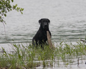 20080531-HRW-1093.jpg