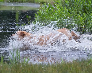 20130713-MHB2-0036.jpg