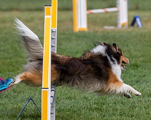 20200819-0141.jpg