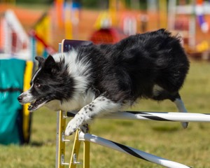 20180617-1658.jpg