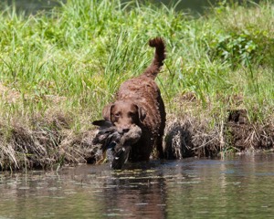 20130602-SEAW-0522.jpg