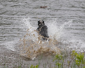 20080531-HRW-0468.jpg