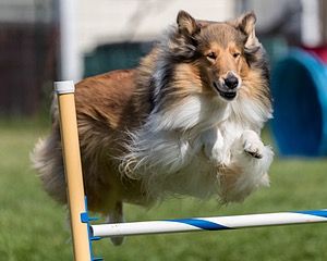 20200819-2516.jpg