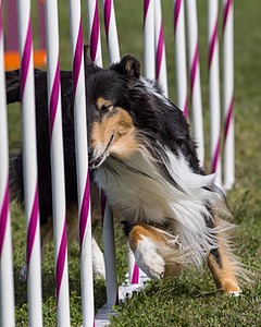 20230916-PVKC-1223.jpg