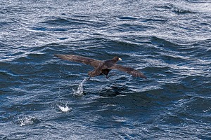 20260325-0067.jpg