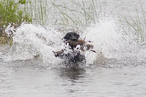 20080531-HRW-0662.jpg