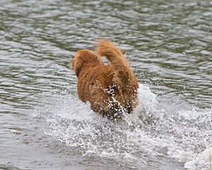20080531-HRW-0693.jpg