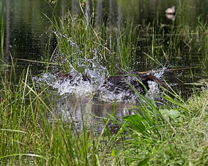 20140809-JHW-0040.jpg