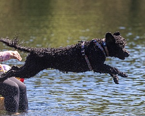 Xena Phyllis