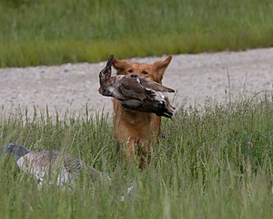 20080531-HRL-0025.jpg
